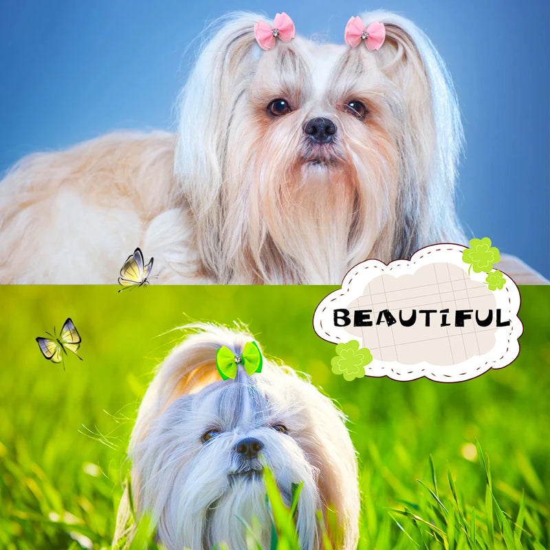 10pcs Dog bows Cute Chiffon Dog Hair Bows Diamond  Dog Hair Accessories Det grooming Bows Dog Accessories for Small Dogs