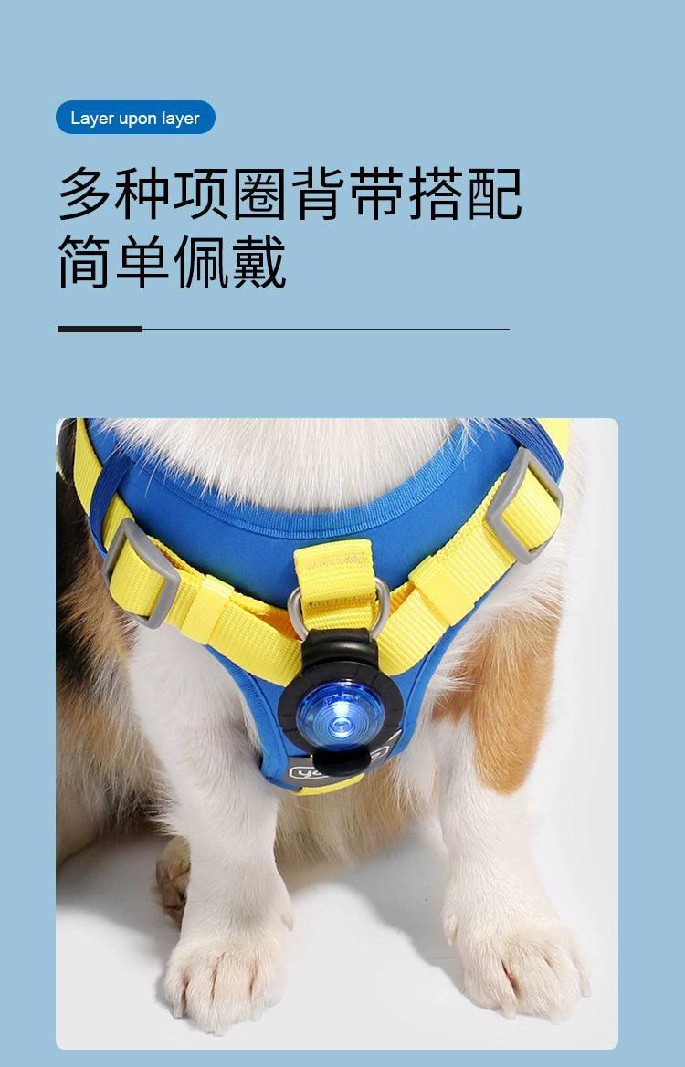 Leao Dog Walking Light Luminous Collar Pet Safety Light Charging Night Night Anti-Lost Dog Tag Dog Collar Social Projection
