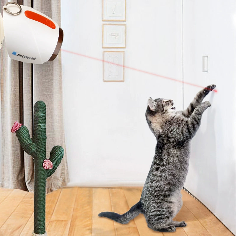 Gigwi Automatic Laser Cat Teaser Relief Toys