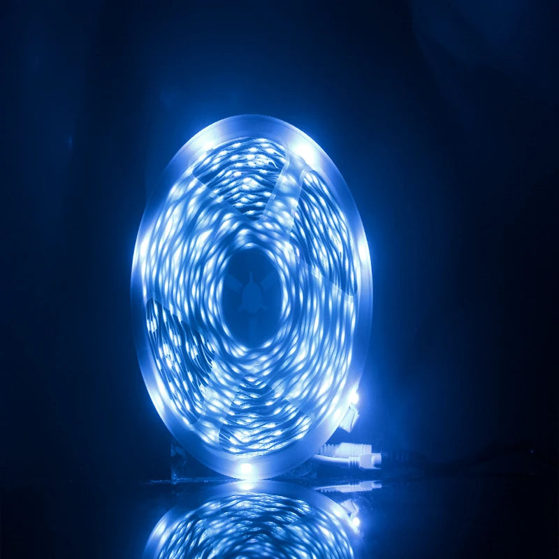 LED Strip Lights RGB APP Control Color Changing Lights with 24 Keys Remote Mode for Room Decoration Bluetooth TV SMD5050 RGB