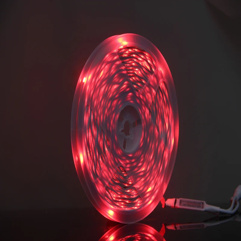 LED Strip Lights RGB APP Control Color Changing Lights with 24 Keys Remote Mode for Room Decoration Bluetooth TV SMD5050 RGB