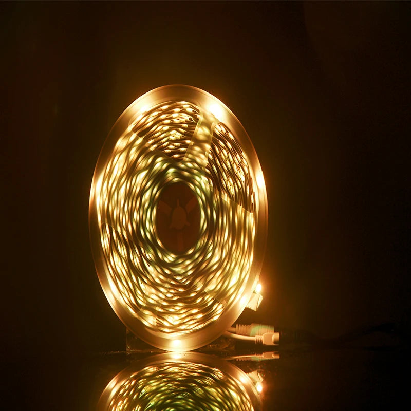 LED Strip Lights RGB APP Control Color Changing Lights with 24 Keys Remote Mode for Room Decoration Bluetooth TV SMD5050 RGB