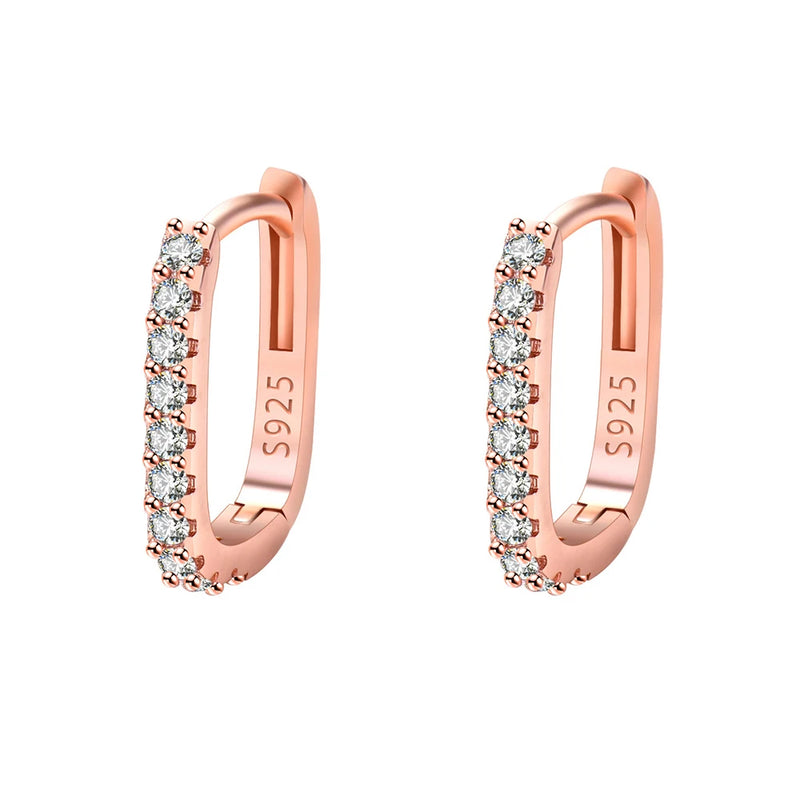 925 Sterling Silver Crystal Jewelry Fashion Zircon Circle Hoop Earrings For Woman New XY0179